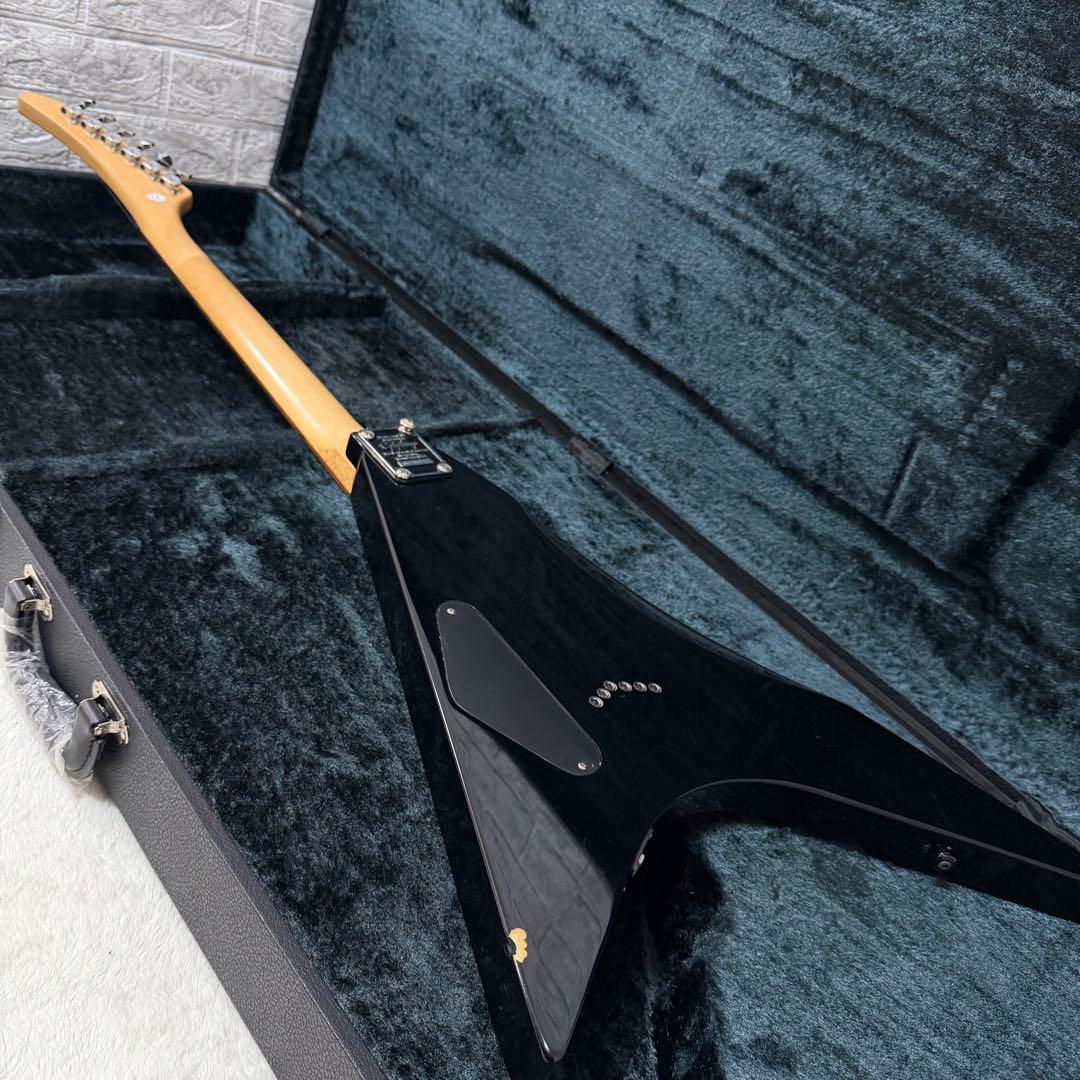 希少　EPIPHONE エピフォン　ランディV 変形　ハードケース付き