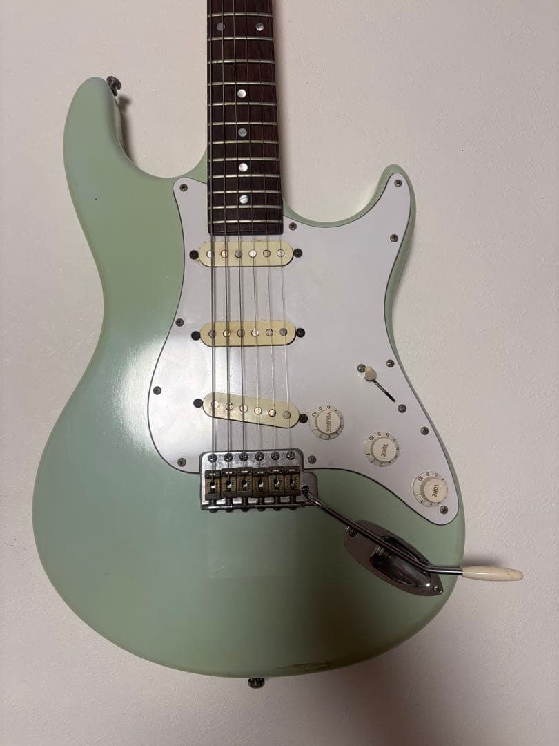 edenhaus custom guitar ストラト