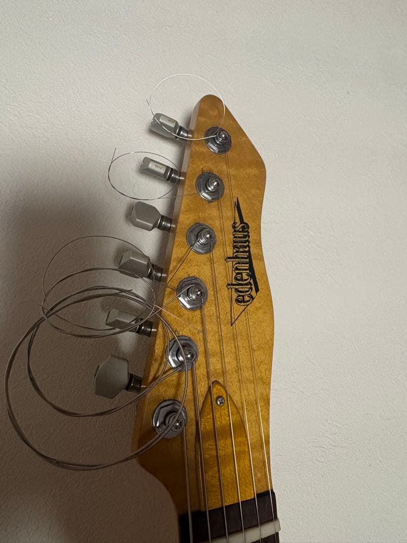 edenhaus custom guitar ストラト