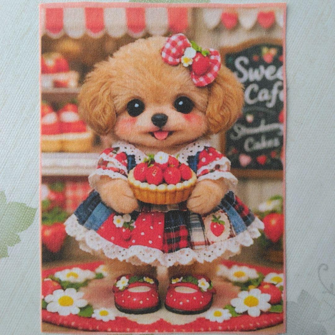 ☆受付☆トイプードル・ミニサイズ