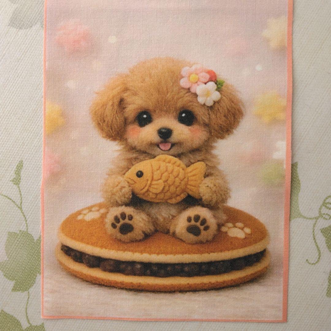 ☆受付☆トイプードル・ミニサイズ