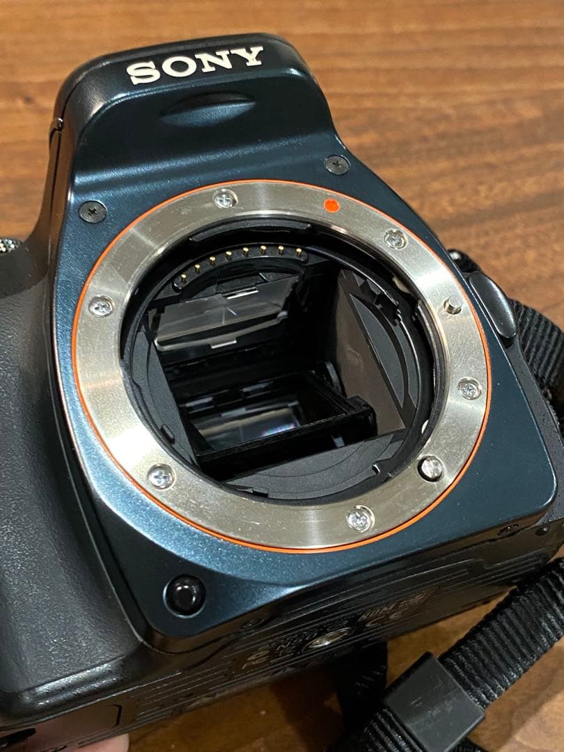 SONY α100 CCDデジタル一眼SIGMA 18-200 動作品