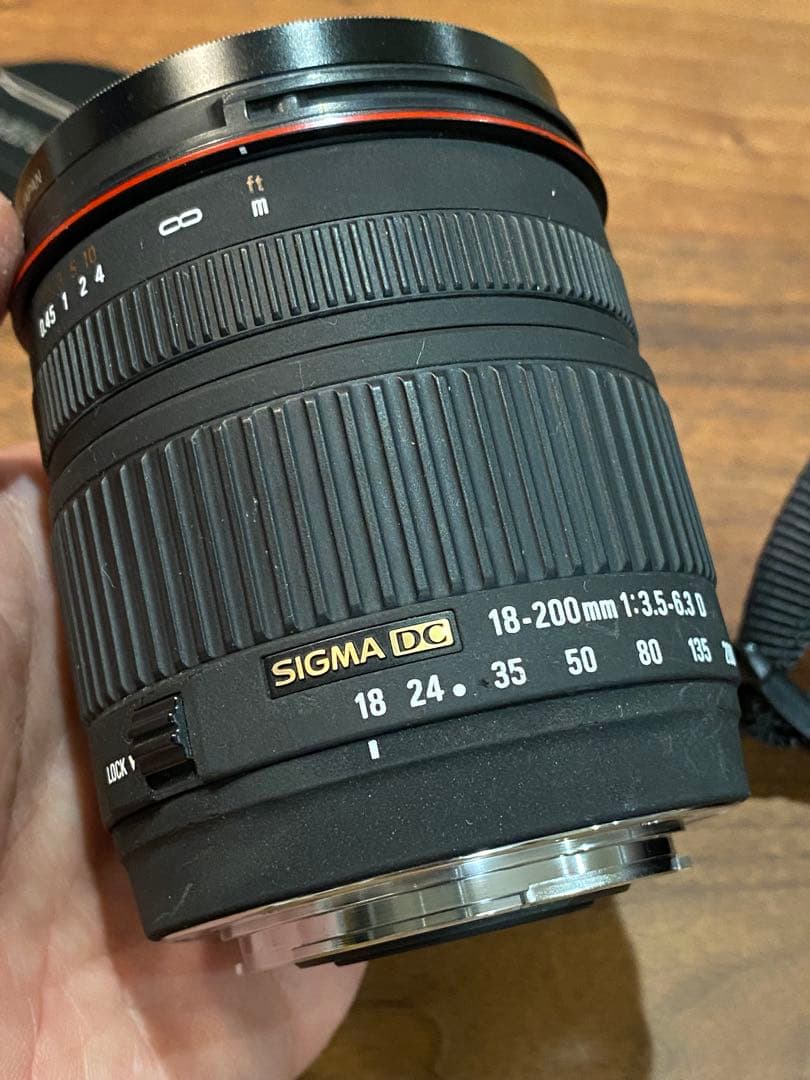 SONY α100 CCDデジタル一眼SIGMA 18-200 動作品