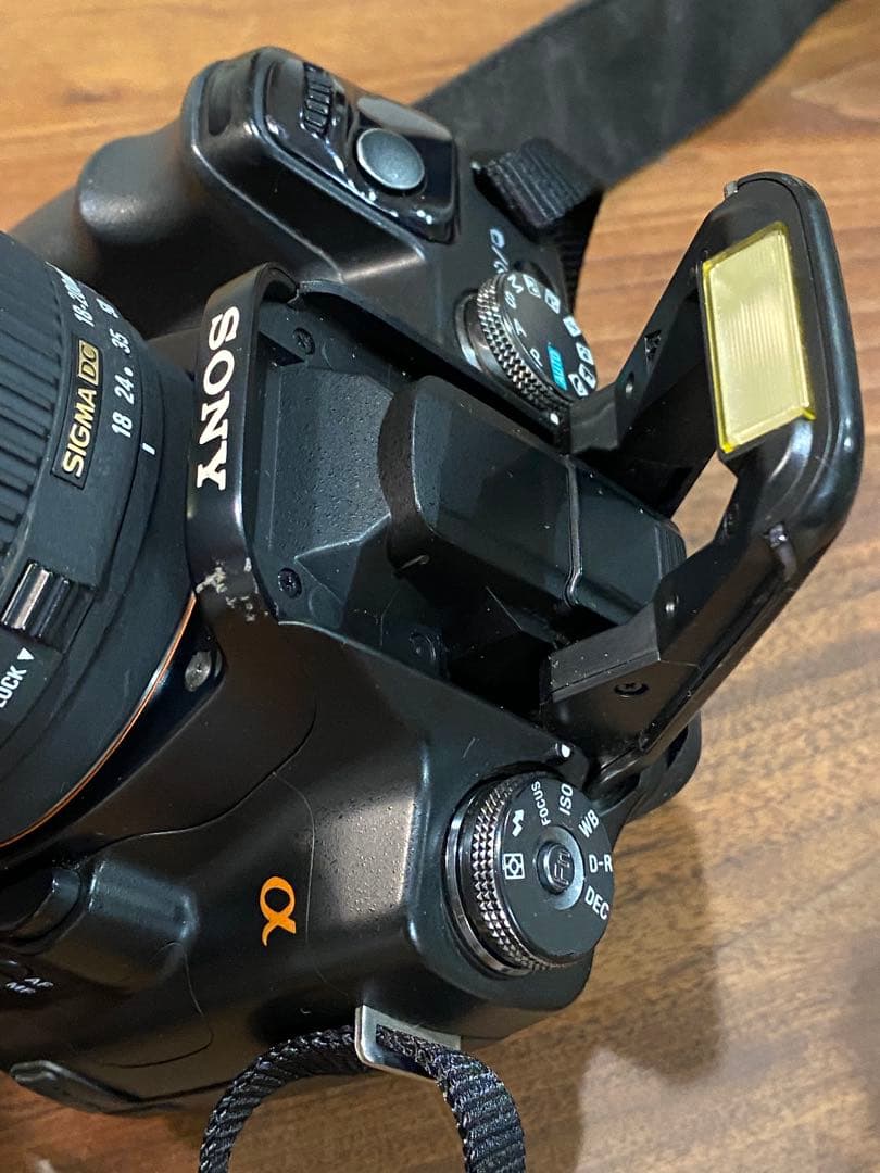 SONY α100 CCDデジタル一眼SIGMA 18-200 動作品