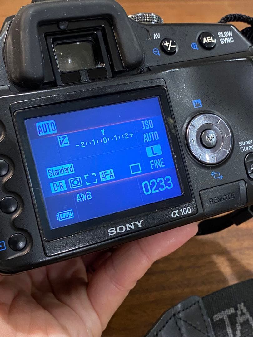 SONY α100 CCDデジタル一眼SIGMA 18-200 動作品