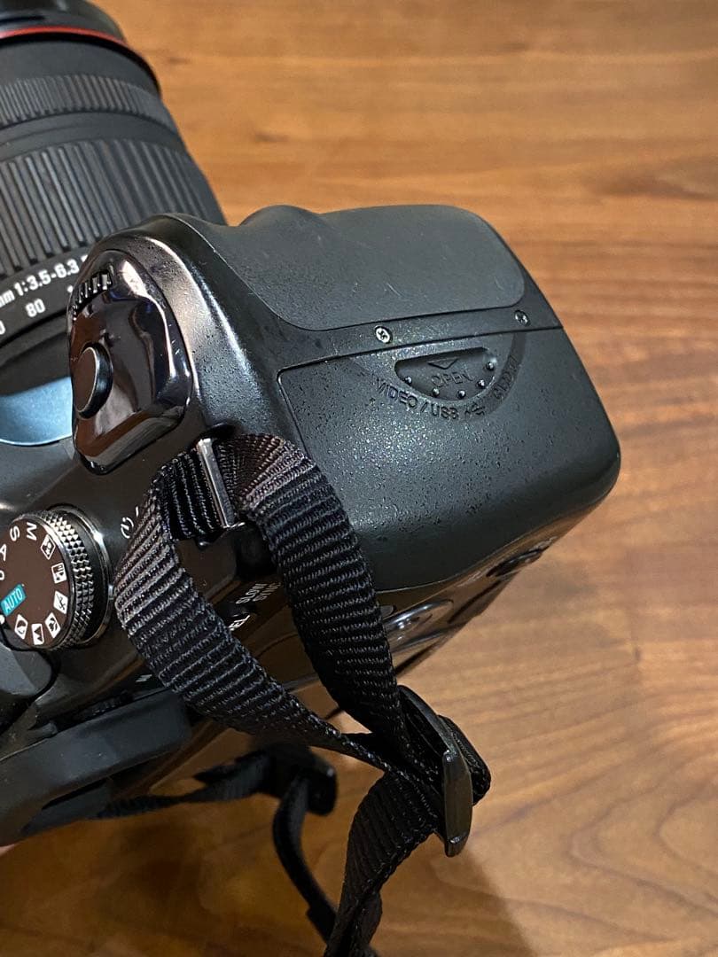 SONY α100 CCDデジタル一眼SIGMA 18-200 動作品