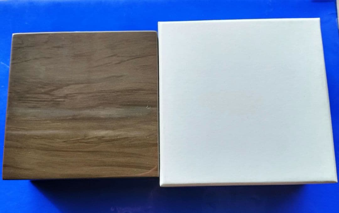 Fiji 蛇年1ドル銀貨（2013年）純銀