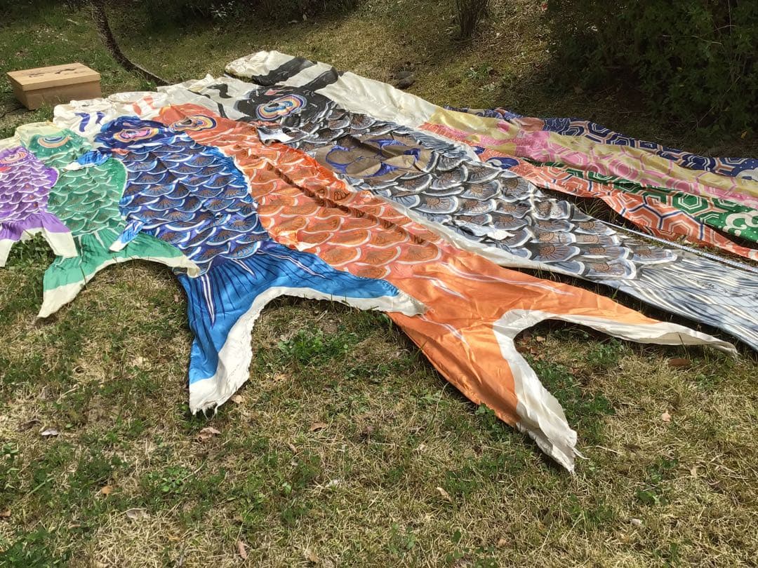 ●逸品〓旧家整理品●高級 鯉のぼり●幸正監修・飛翔之鯉『大利』6M●家紋丸に梅鉢