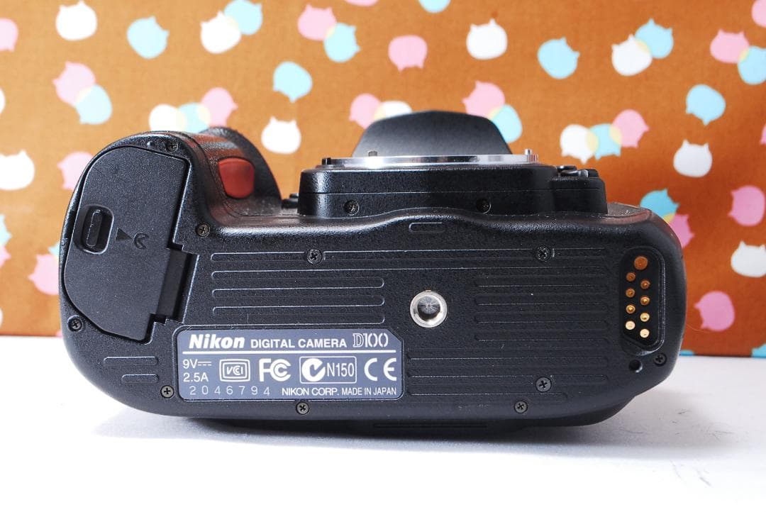 ✨美品✨ハイアマチュア機✨Nikon D100 レンズセット