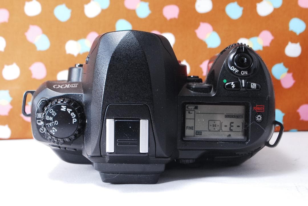 ✨美品✨ハイアマチュア機✨Nikon D100 レンズセット