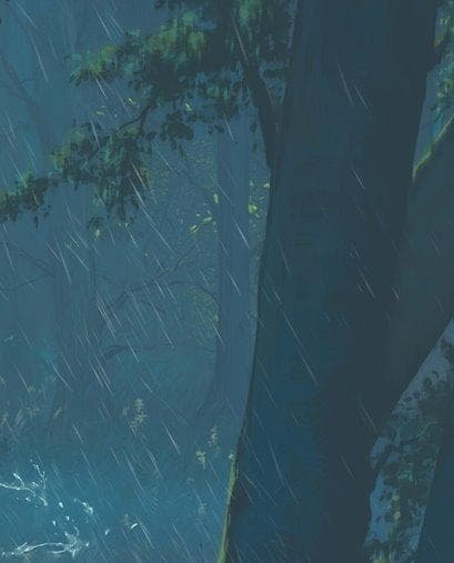 雨の森のデジタルアート