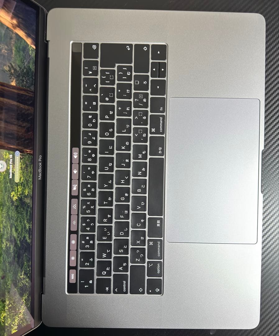 充放電回数123回！MacBook Pro 15.4 2019 256GB
