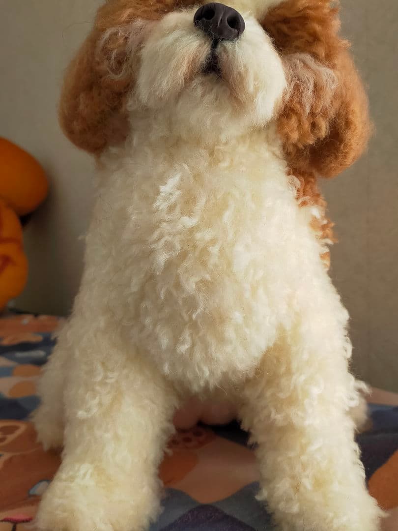 お値下げ。送料込み♡かわいいわんこ♡お座りポーズ♡