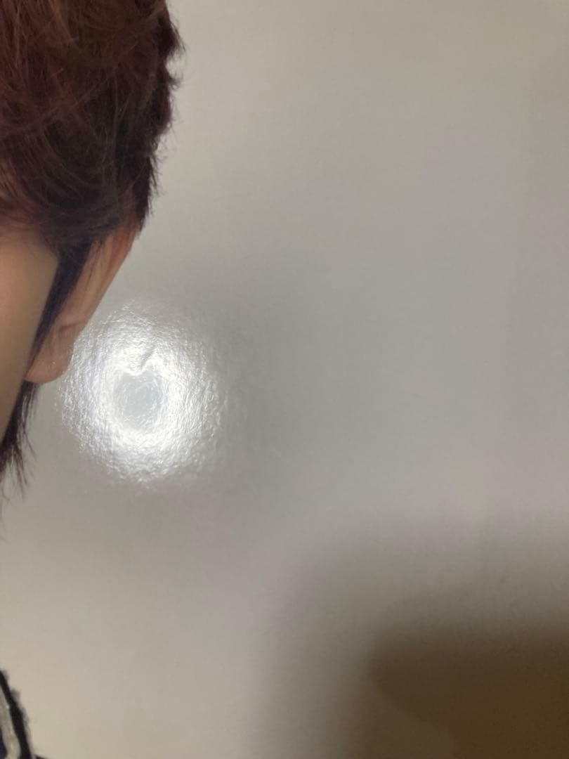 FATE FATE ＋　IN JAPAN うちわ　イメージピケット　ヒスン