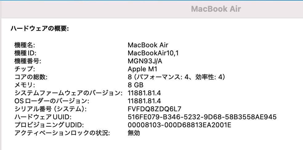 MacBook本体 Apple MacBook Air 2020 M1 8GB 256GB
