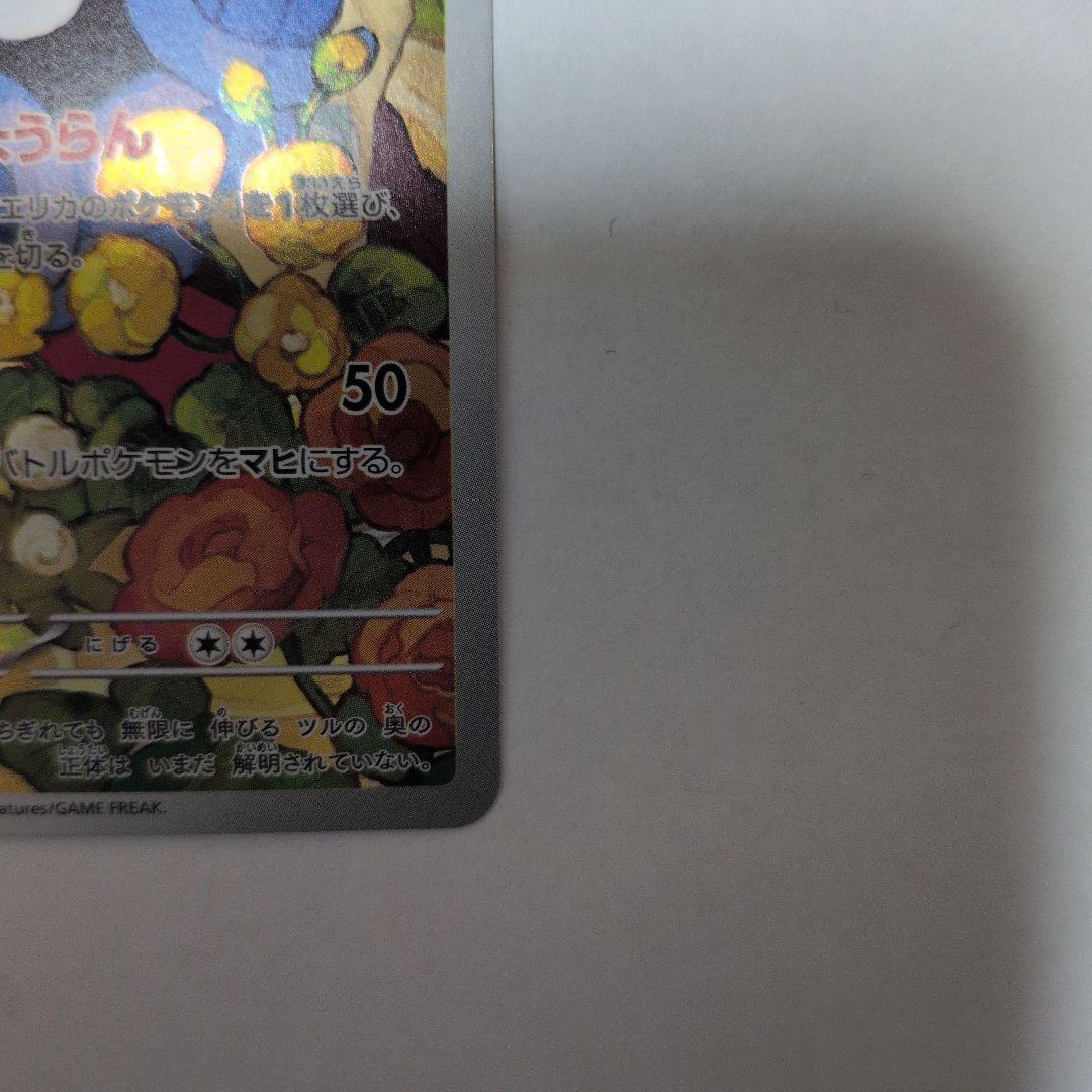 エリカのモンジャラar　2枚セット