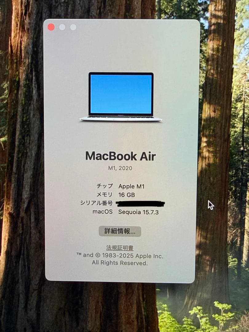 Apple MacBook Air (M1, 2020) シルバー JIS