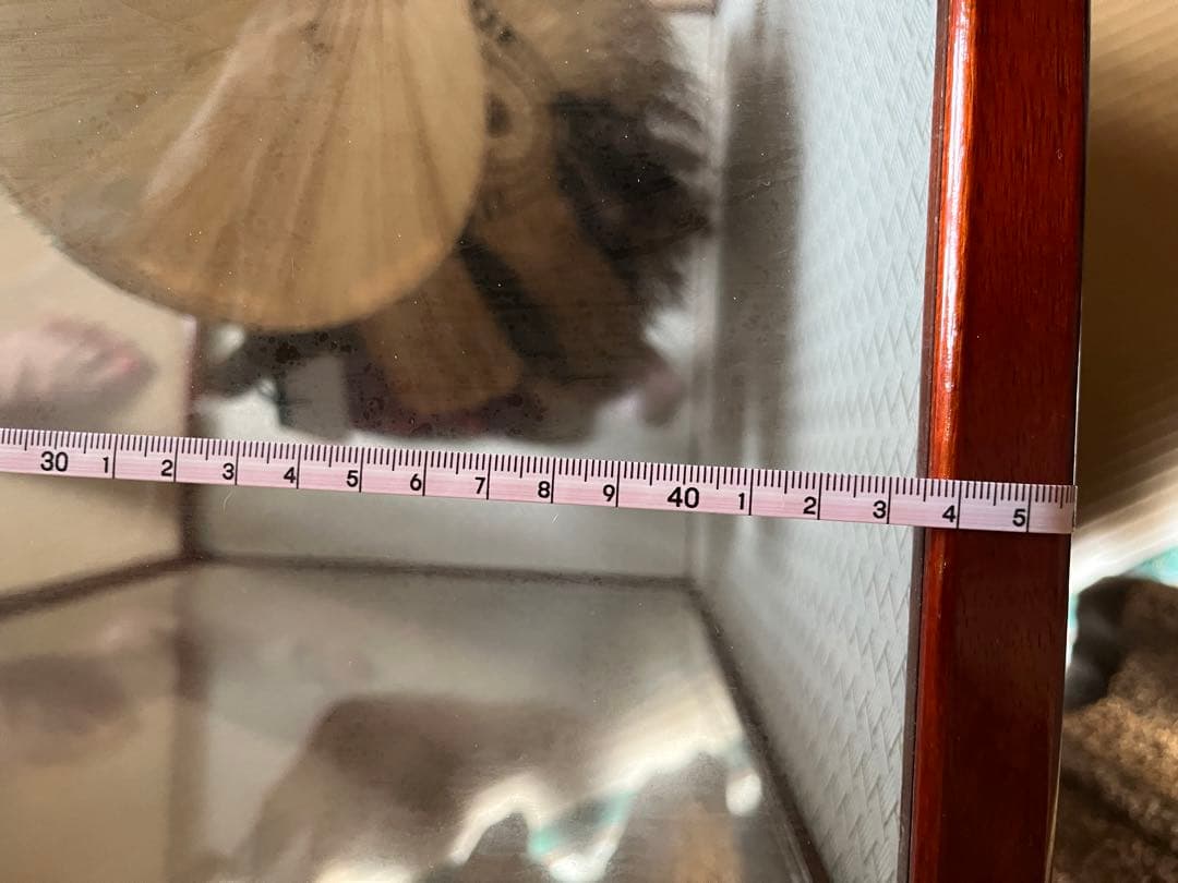 たぬき剥製置き物　縁起物
