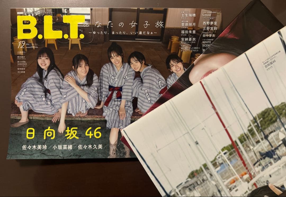 【〜3/13】日向坂写真集ポストカードポスター等セット　値下げ可