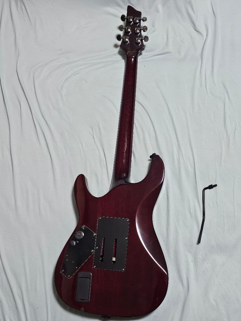 (本日まで価格)Schecter Hellraiser AD-C-1-FR-HR