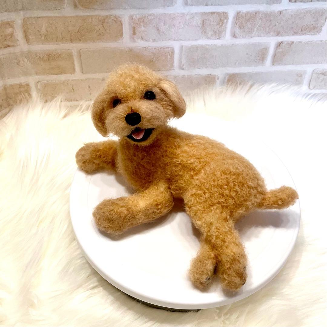 羊毛フェルト　トイプードル　momoichigo