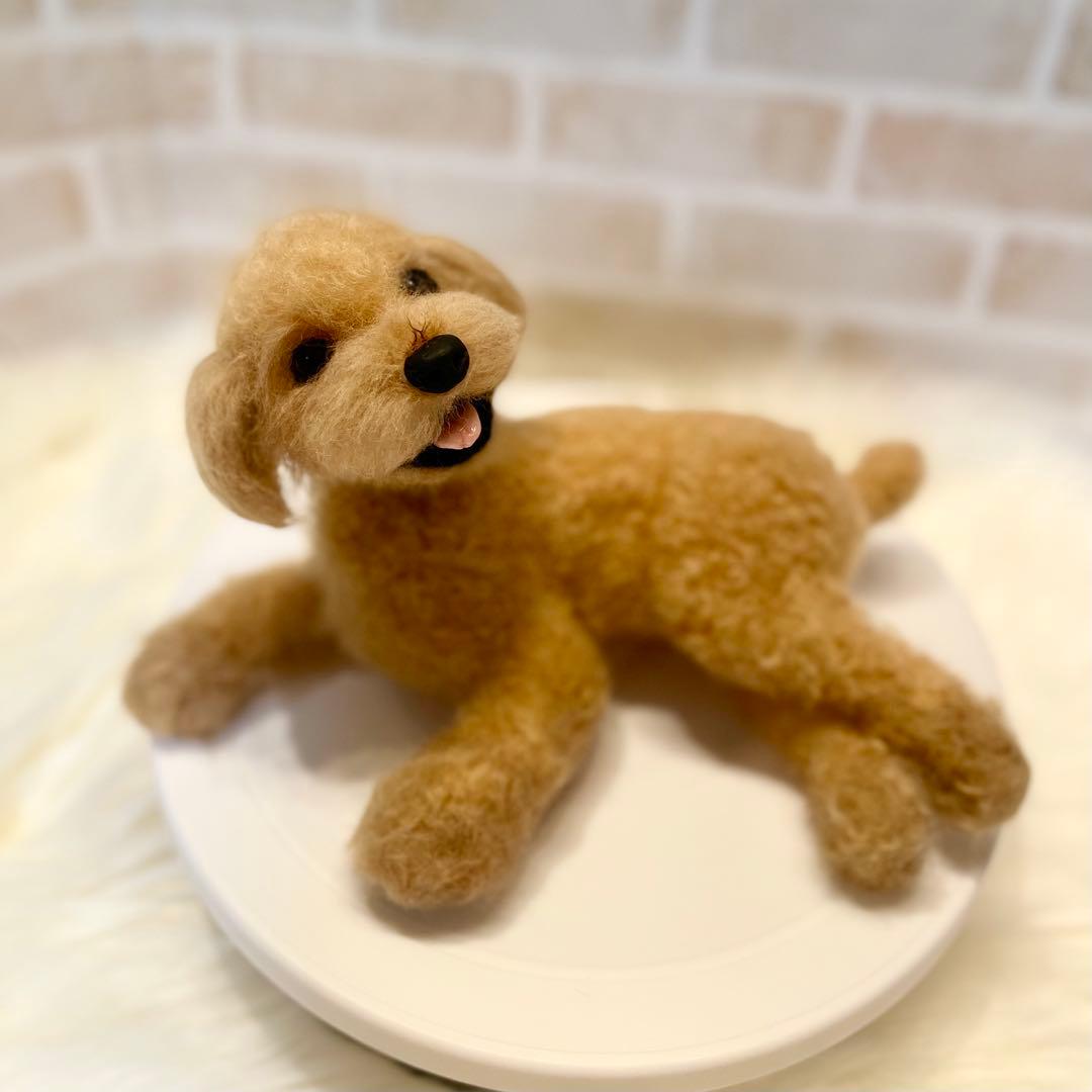 羊毛フェルト　トイプードル　momoichigo