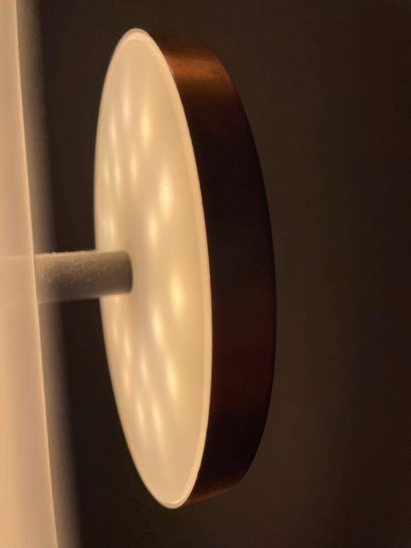 フランフラン　リフレクション　フロアライト