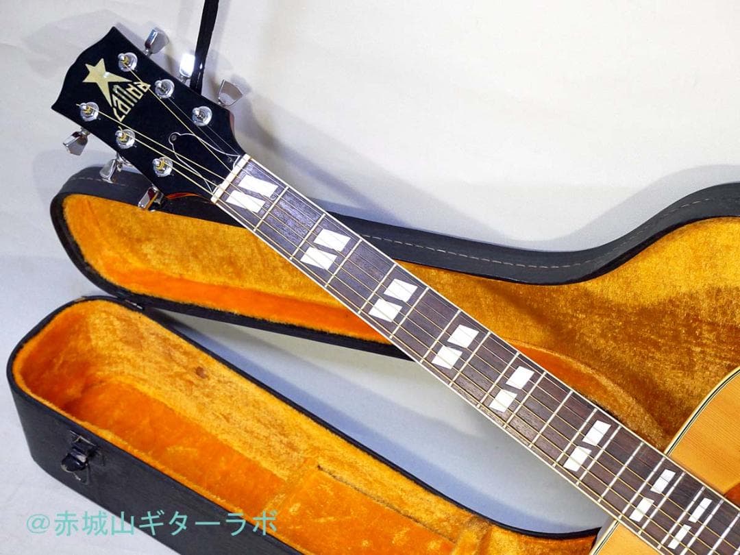 CANDA#303 1970年代フジゲン製 DOVEモデル☆ハードケース付