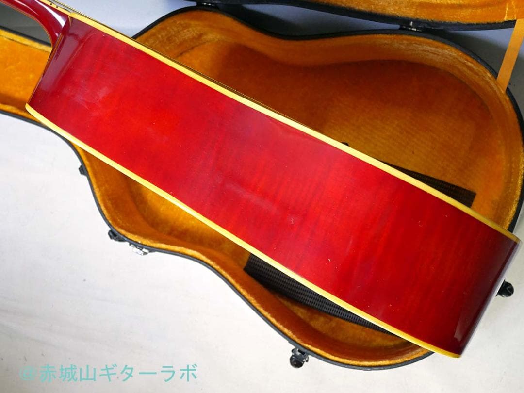 CANDA#303 1970年代フジゲン製 DOVEモデル☆ハードケース付