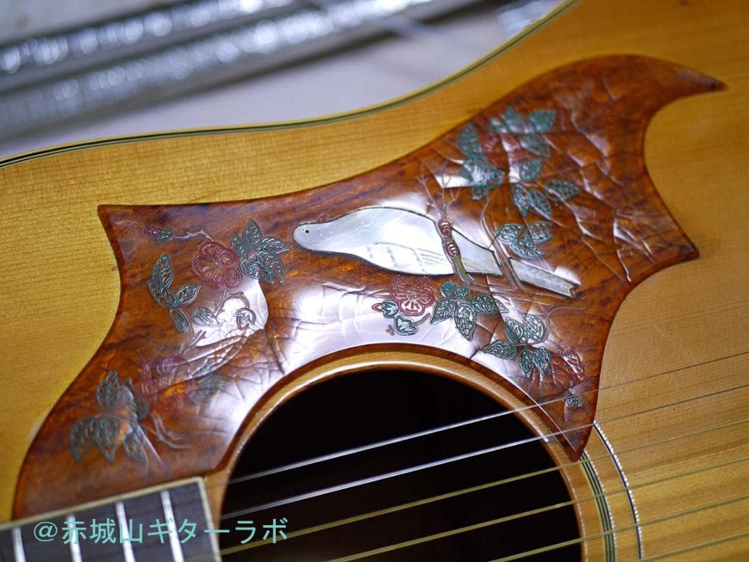 CANDA#303 1970年代フジゲン製 DOVEモデル☆ハードケース付