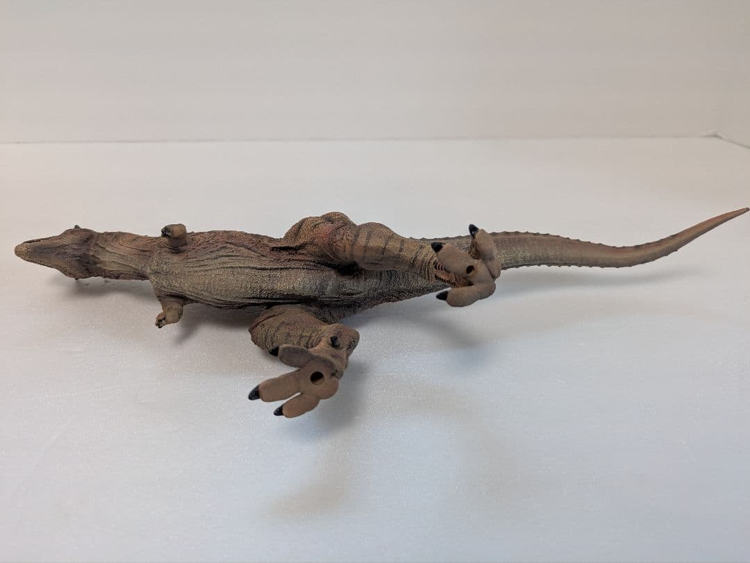 プライム1スタジオ　ジュラシックワールド　カルノタウルス（箱なし・開封品）