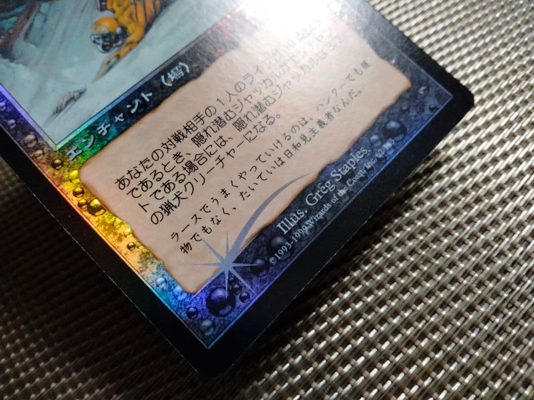 【ご確認用】ウルザズ・デスティニー foil 隠れ潜むジャッカル 日本語 1枚