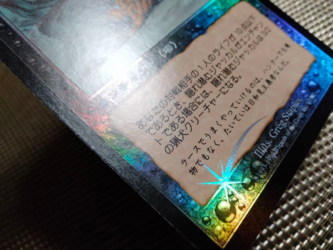 【ご確認用】ウルザズ・デスティニー foil 隠れ潜むジャッカル 日本語 1枚