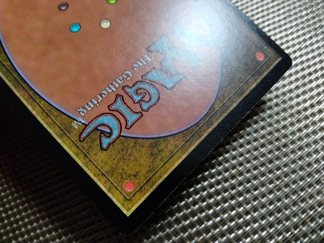 【ご確認用】ウルザズ・デスティニー foil 隠れ潜むジャッカル 日本語 1枚