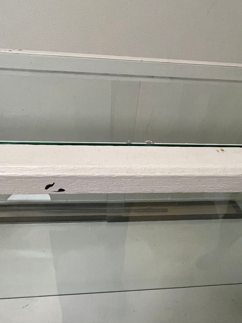 ビンテージ　ショーケース　ガラス　木製　アンティーク　棚　ヴィンテージ