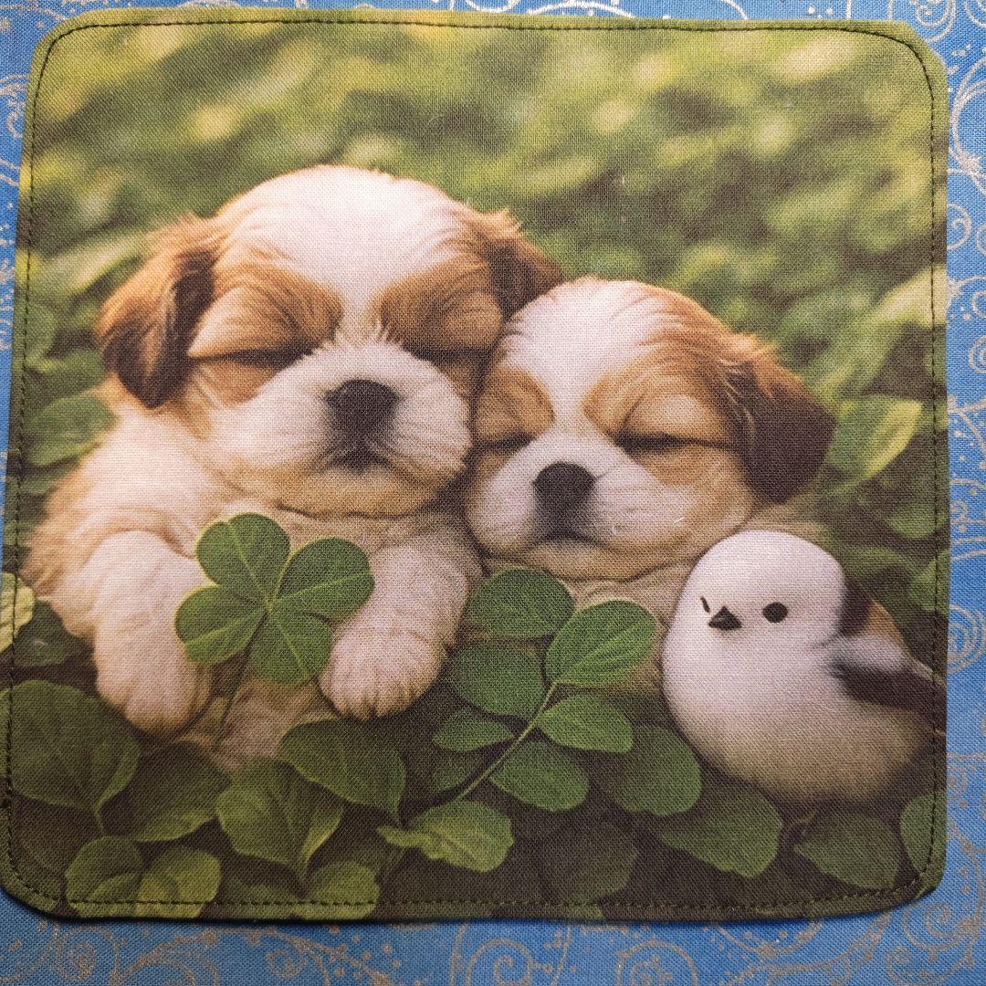 てるみん　ハンカチ　わんこさん柄　17枚