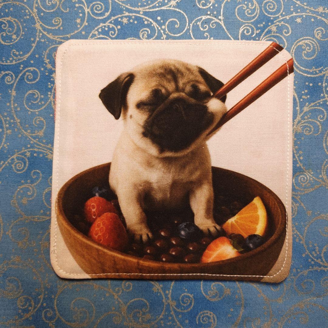 てるみん　ハンカチ　わんこさん柄　17枚