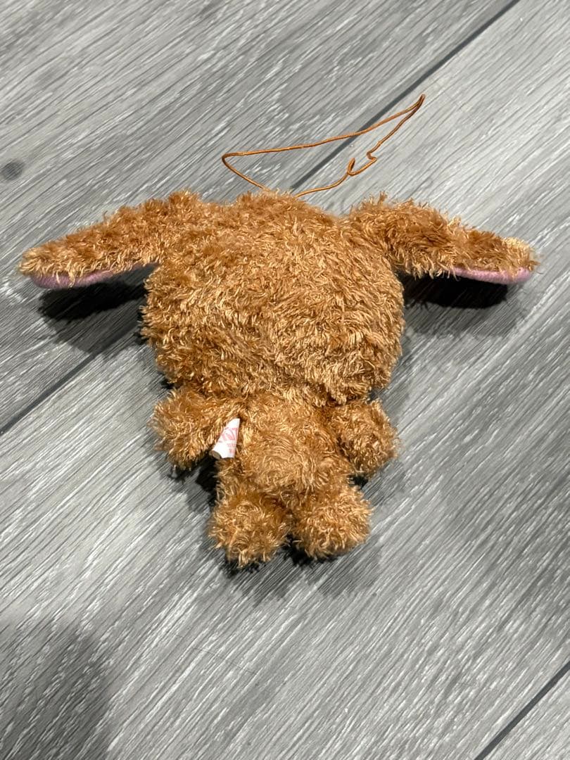 シュガーバニーズ　くろうさ