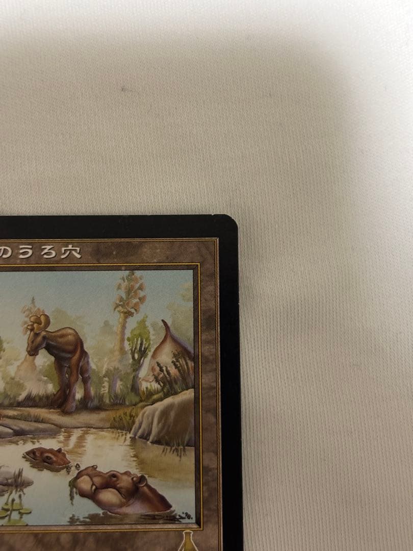 MTG ヤヴィマヤのうろ穴 日本語 旧枠 EDH 統率者
