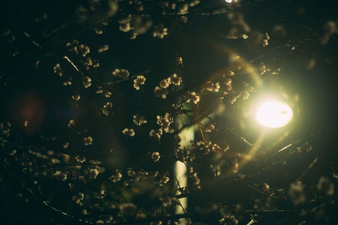 【最終値下げ】Super Takumar 55mm f1.8