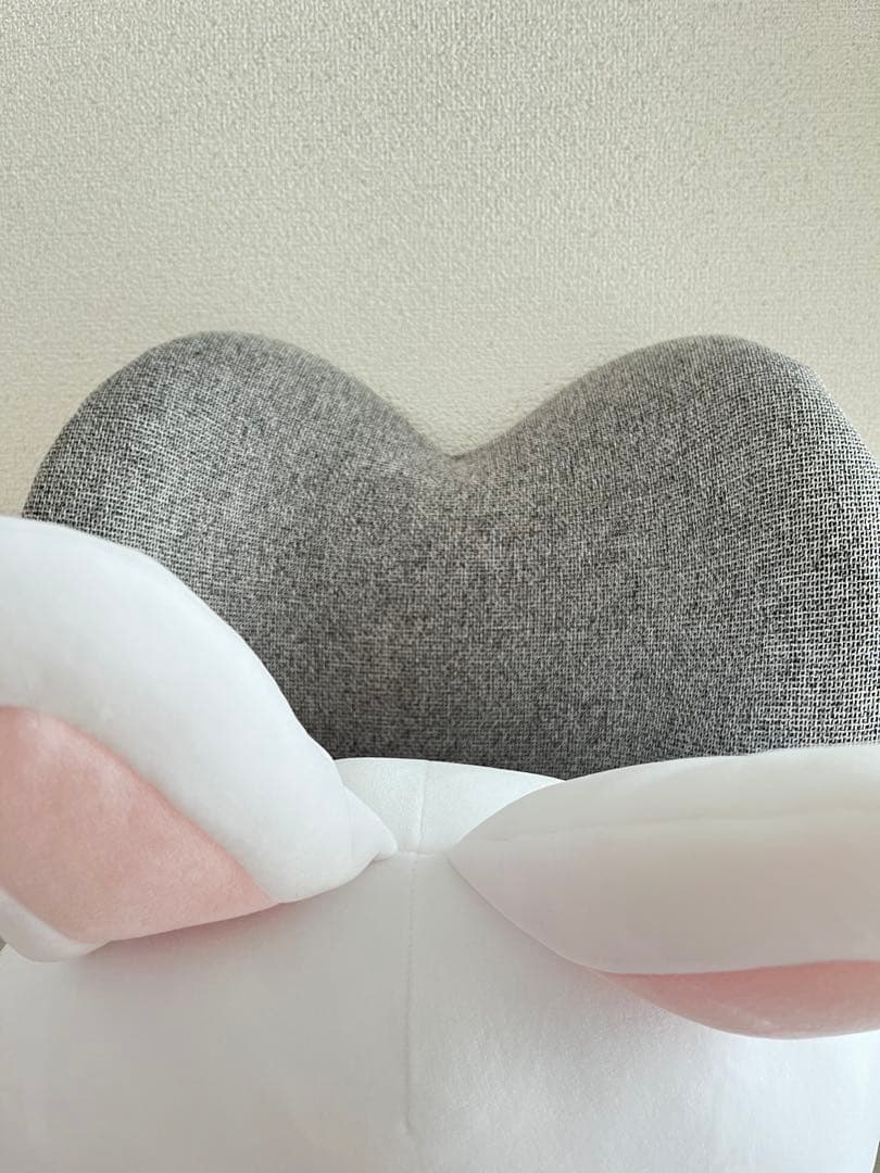 【自宅保管•未使用】SKZOO PLUSH CUSHION（Leebit）
