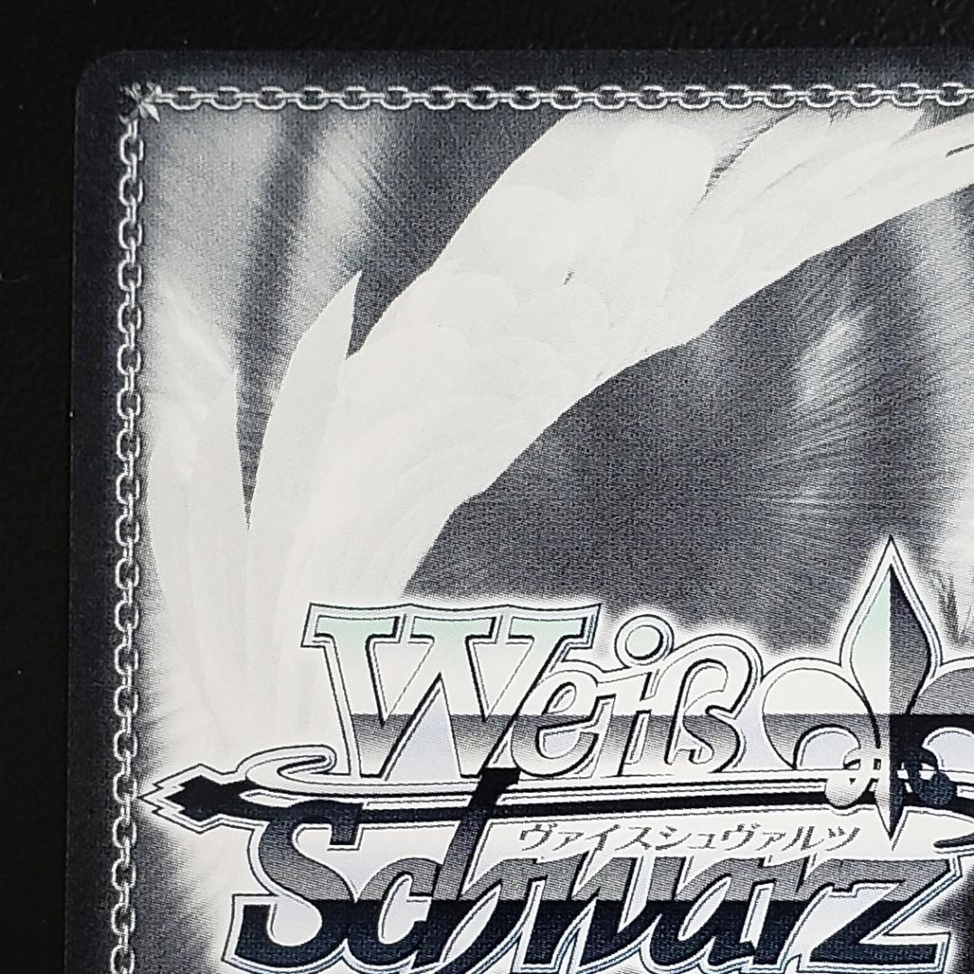 ヴァイス SSP 白い稲妻 タマモクロス 大空直美 箔押しサイン