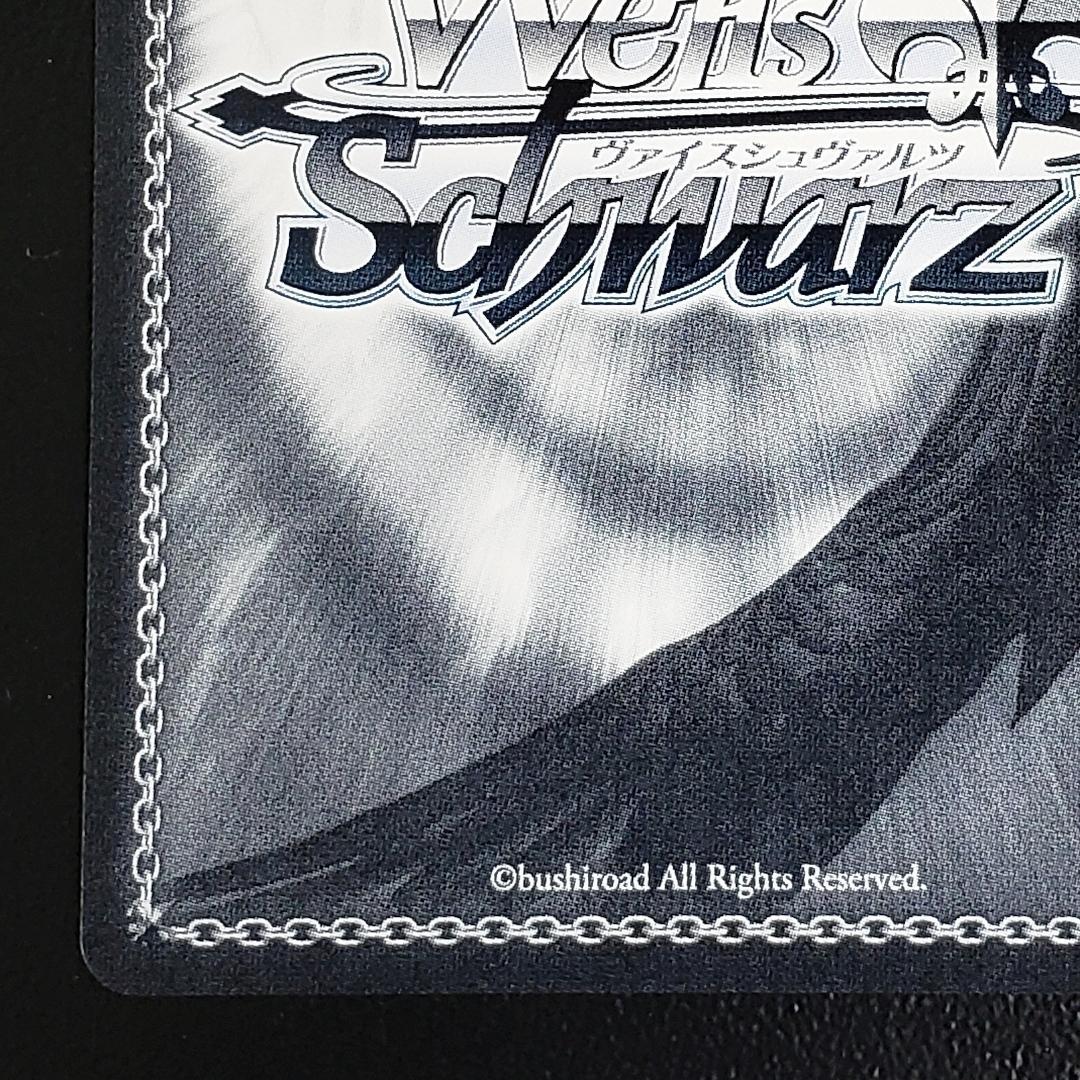 ヴァイス SSP 白い稲妻 タマモクロス 大空直美 箔押しサイン