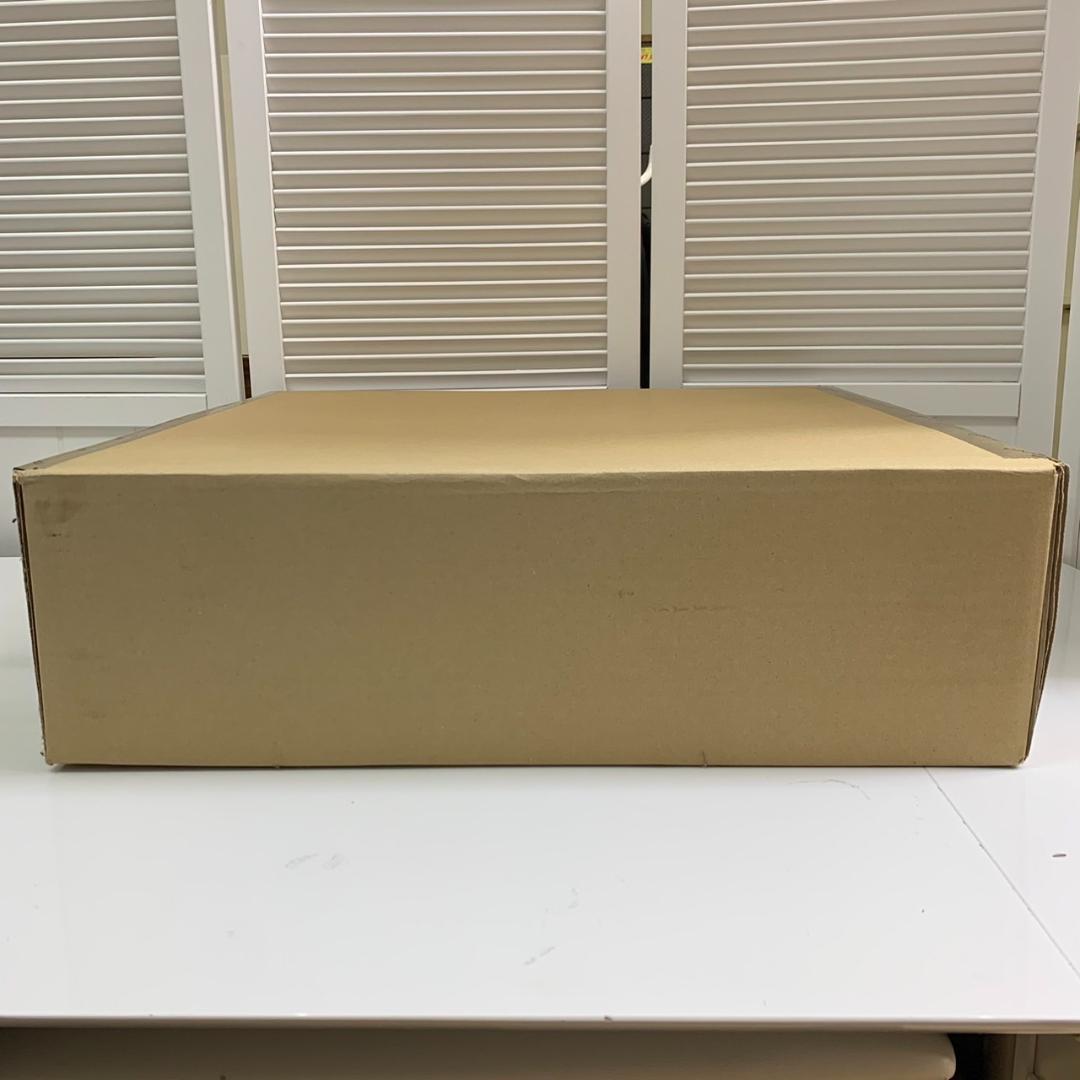 ★未開封 大光電機 LEDシーリングライト YLED-196ESS ～10畳 ①