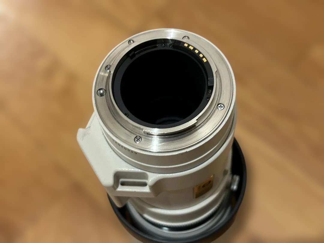 ミノルタ AF APO TELE 300mm F4 Sony ジャンク