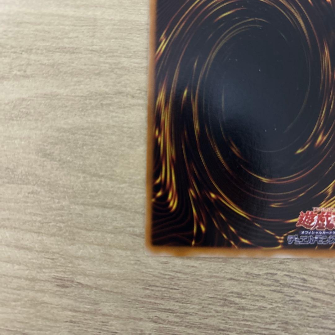 【美品】ブラックローズドラゴン　レリーフ