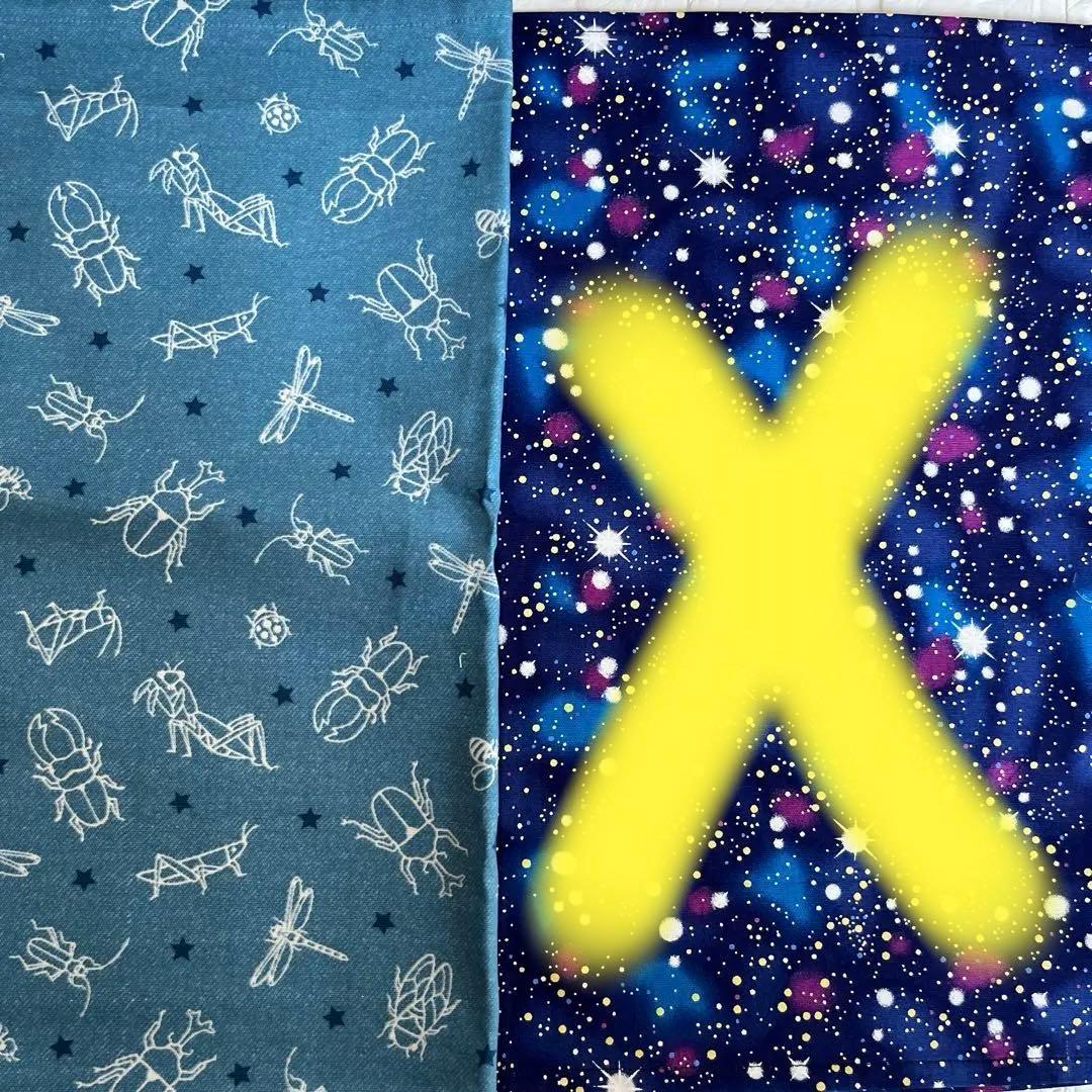 R2⭐︎ランチマット　40×50 ネームラベル付　４枚セット　恐竜　宇宙　昆虫