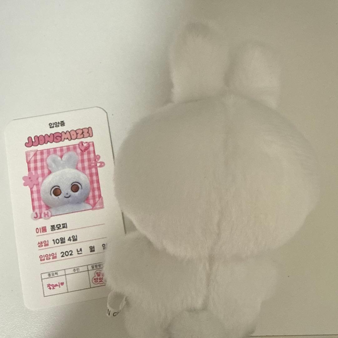 ジョンハン ドール 10cm ぬいぐるみ 쫑모찌 3/30より発送不可