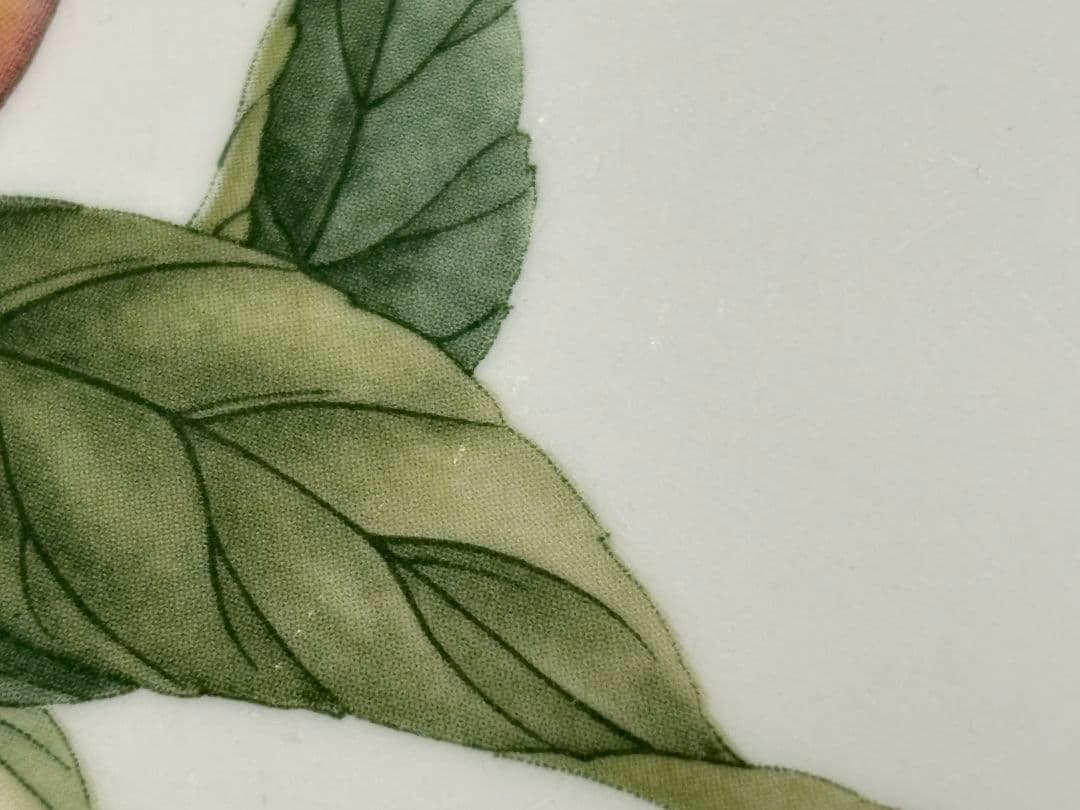 NORITAKE ノリタケ ロイヤルオーチャード 27cm ディナープレート5枚