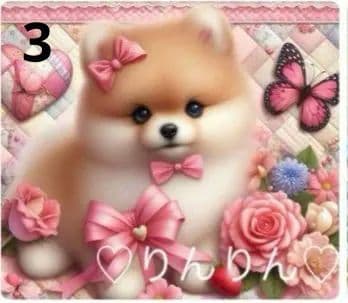 ★オーダーページ★ハンカチ　パッチワーク　ポメラニアン柄5/17